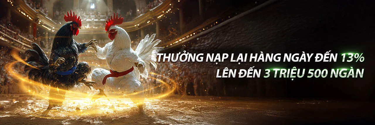Đá gà trực tuyến hấp dẫn tại VN58 Nhà Cái
